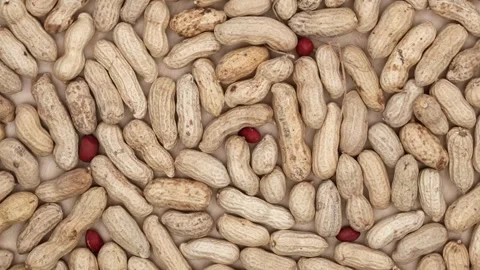 Raw Peanuts With Shells. Rotating. Close Up. Top View. 4k. Stock Footage 243904011