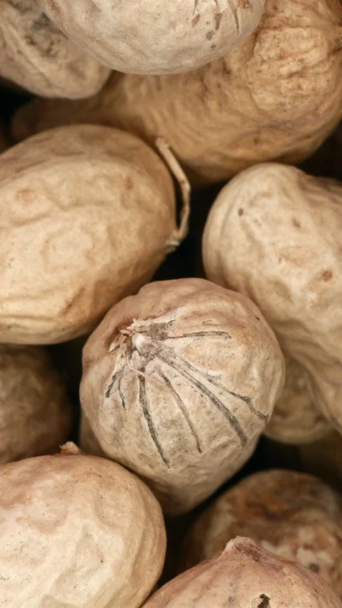 Raw Peanuts With Shells Rotating. Extreme Close Up. Macro. Top View. Stock Footage 266043225