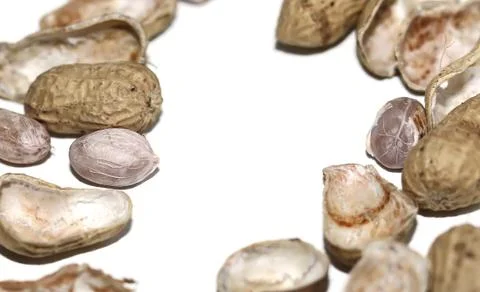 Raw peanuts top view isolated on white background. Stock Photos