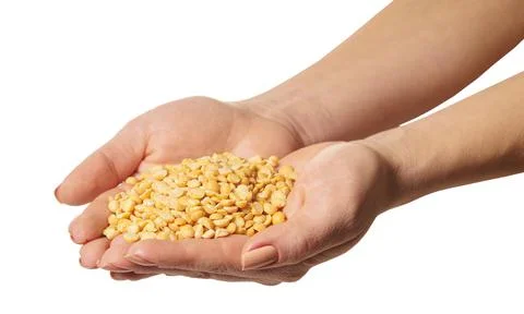 Raw peas in hands Stock Photos