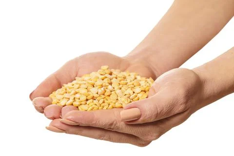 Raw peas in hands Stock Photos