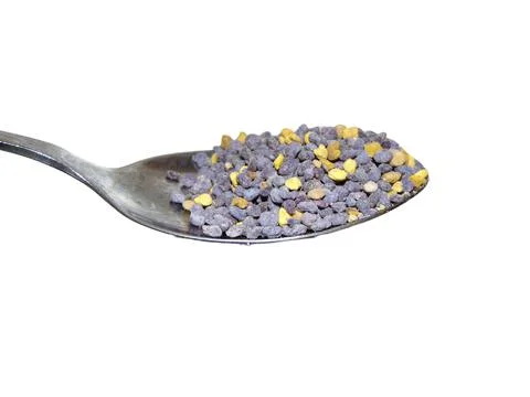 Raw phacelia pollen on a spoon Фото