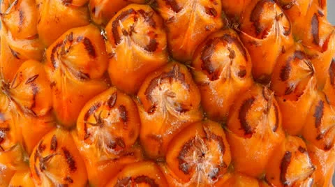 Raw pineapple Vídeos de archivo 24693784