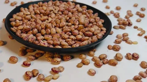 Raw pinto beans in dark plate, white background, horizontal format, angled view Stock Footage 336471796
