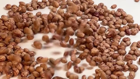 Raw pinto beans falling on white background, horizontal , slow motion top view Stock Footage 336471792