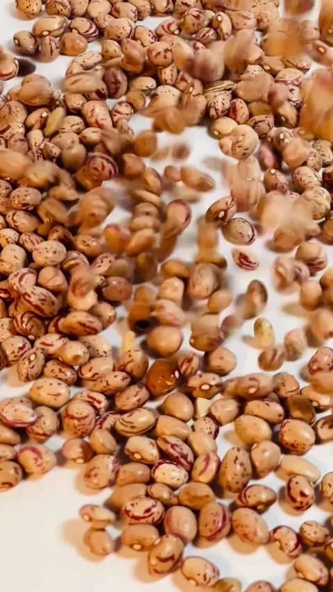Raw pinto beans falling on white background, vertical , slow motion top view Stock Footage 336471794