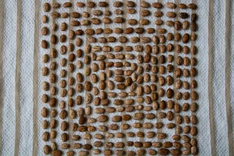 Raw Pinto Beans Square Pattern Stock Photos