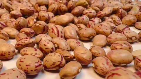 Raw pinto beans on white background, horizontal format, close up view Stock Footage 336471787