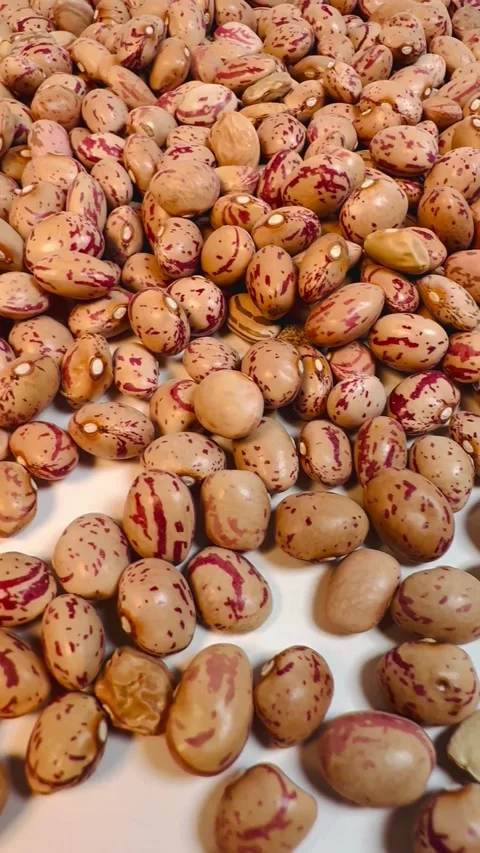 Raw pinto beans on white background, vertical format, top view Stock Footage 336471788