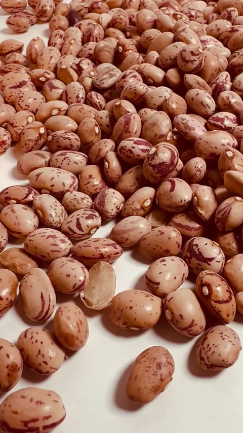 Raw pinto beans on white background, vertical format, close up view Stock Footage 336471793