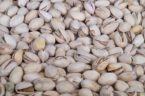 Raw pistachio kernels presented aesthetically. Creative arrangement of sundried 写真素材