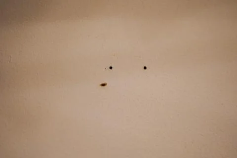 Raw plug in a white wall Stock Photos