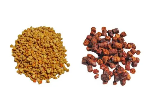 Raw polyflor bee pollen and bee bread (pastura) isolated on white Fotos Stock