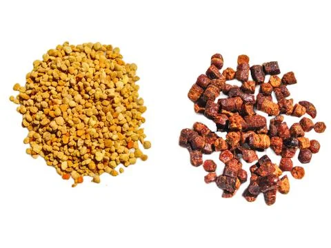 Raw polyflor bee pollen and bee bread (pastura) isolated on white Photos