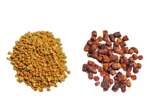 Raw polyflor bee pollen and bee bread (pastura) isolated on white Stock Photos