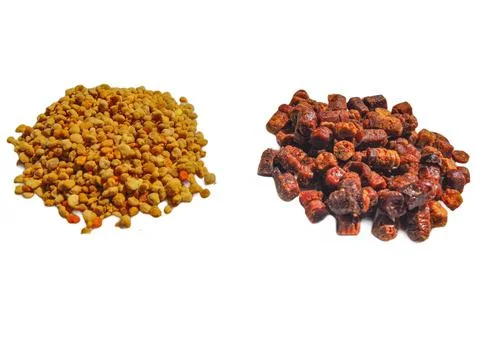 Raw polyflor bee pollen and bee bread (pastura) isolated on white Foto stock