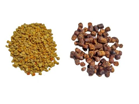 Raw polyflor bee pollen and bee bread (pastura) isolated on white 写真素材