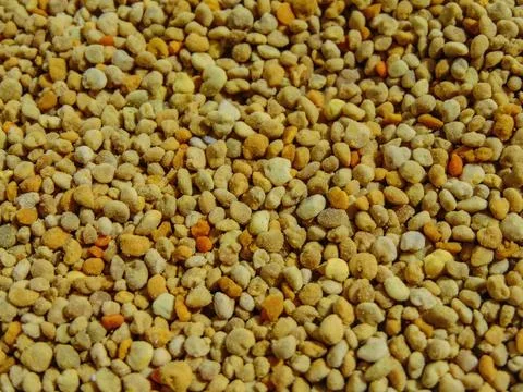 Raw polyflor pollen from Romania Фото