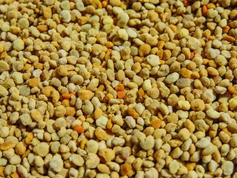 Raw polyflor pollen from Romania Photos
