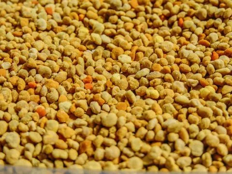 Raw polyflor pollen from Romania Stock Photos