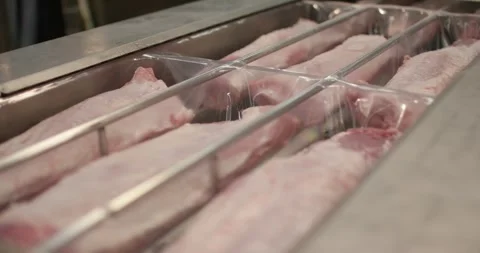 Raw pork cuts resting in stainless steel processing trough, Static Shot Stock Footage 340025615