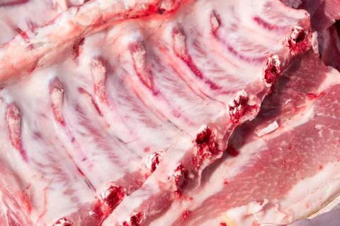 Raw Pork Ribs Stock Photos