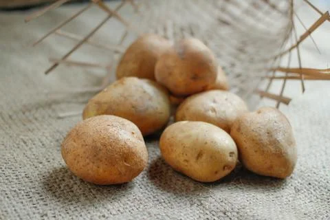 Raw of Potato with bright background Stockfoto's