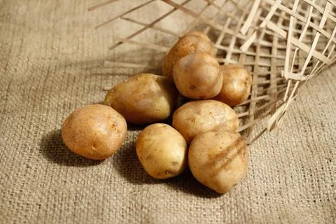 Raw of Potato with bright background Foto stock