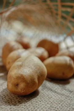 Raw of Potato with bright background Stock Photos