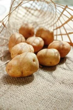 Raw of Potato with bright background Stock Photos