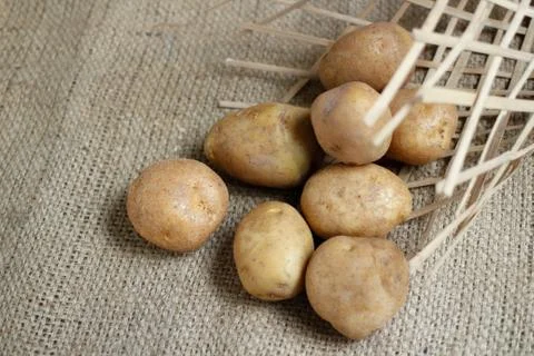 Raw of Potato with bright background Stock Photos
