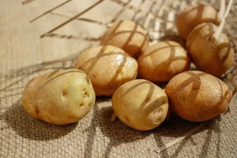 Raw of Potato with bright background Stock Photos