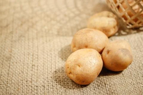 Raw of Potato with bright background Stock Photos