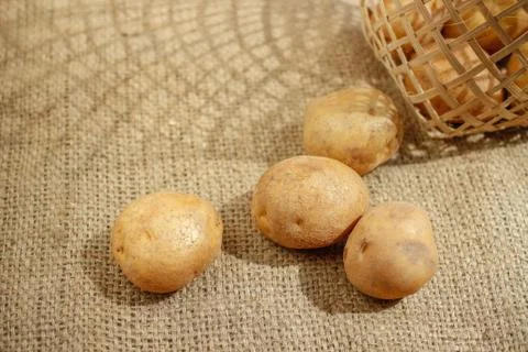 Raw of Potato with bright background Stock Photos