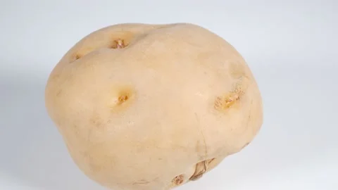 Raw potato Video stock 147913202