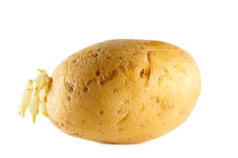 Raw potato Stock Photos
