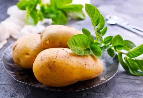Raw potato Stock Photos