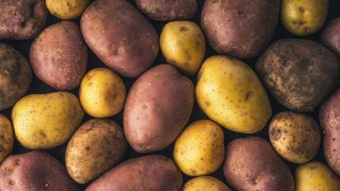 Raw potatoes  background horizontal Stock Photos
