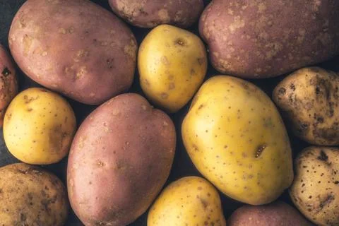 Raw potatoes  background Stock Photos