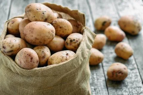 Raw potatoes in a burlap sack on the rough wooden boards 写真素材