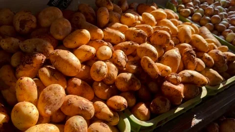 Raw potatoes displayed in natural light create authentic farming and wholesale Stock Footage 334321723
