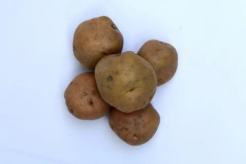 Raw Potatoes Isolated on White Background Fresh Organic Vegetable Stock Photos
