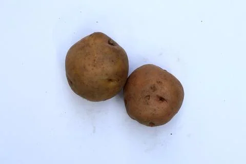 Raw Potatoes Isolated on White Background Fresh Organic Vegetable Stock Photos