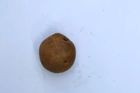 Raw Potatoes Isolated on White Background Fresh Organic Vegetable Stock Photos