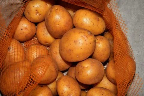 Raw potatoes in the net Stock Photos