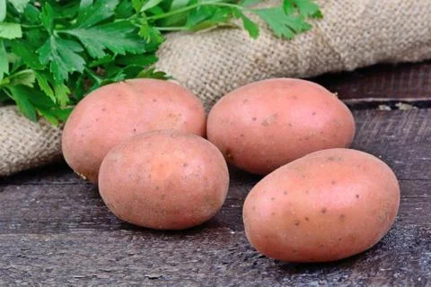 Raw potatoes with parsley on table Stock Photos
