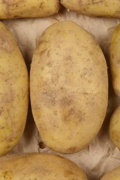 Raw potatoes Stock Photos