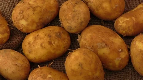 Raw potatoes on rustic hessian background Stock Footage 63225761