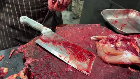 Raw poultry cutting process with knife on wooden chopping surface Stock Footage 331796132