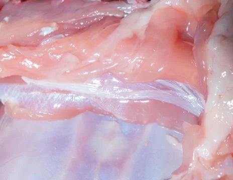 Raw Poultry Meat Texture Abstract Macro Closeup with Marbled Fat and Pink M.. Stock Photos